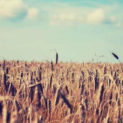 1920 x 1080 HD Wallpapers 1596